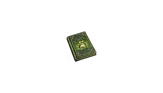 Regular Ranger Tome (Pre Searing)